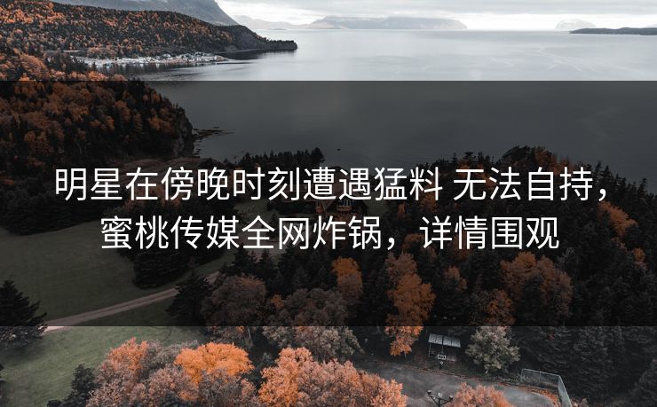 明星在傍晚时刻遭遇猛料 无法自持，蜜桃传媒全网炸锅，详情围观
