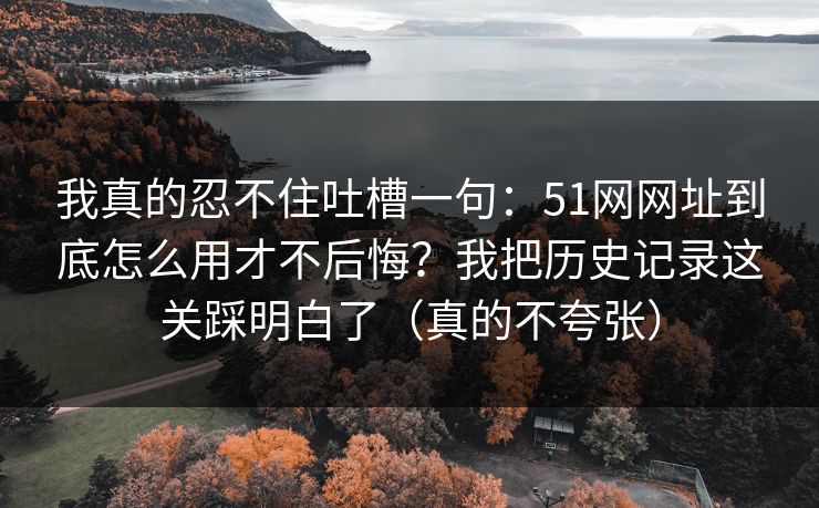 我真的忍不住吐槽一句：51网网址到底怎么用才不后悔？我把历史记录这关踩明白了（真的不夸张）